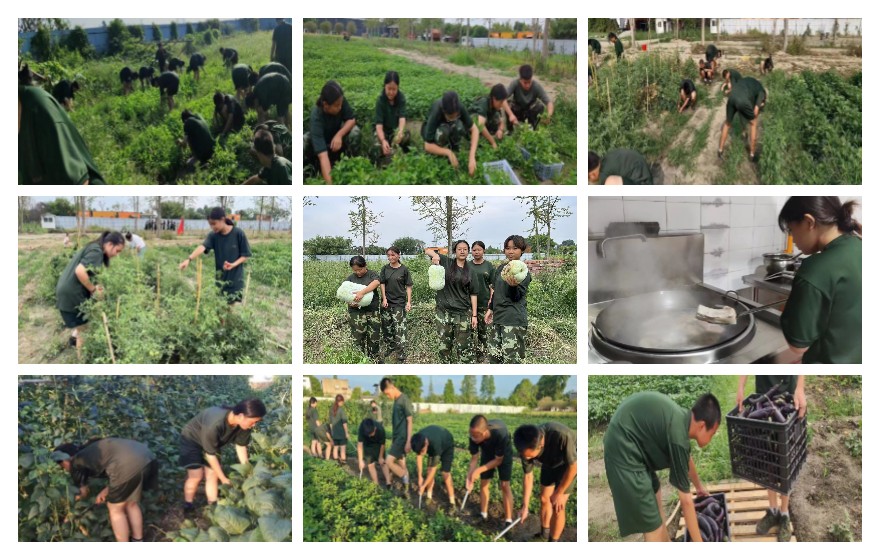 更新!成都排名好的十大全封闭叛逆学校名单更新公布-排行榜公布